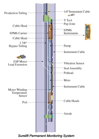 Global Contracts Awarded For Expro Group’s Permanent Downhole ...