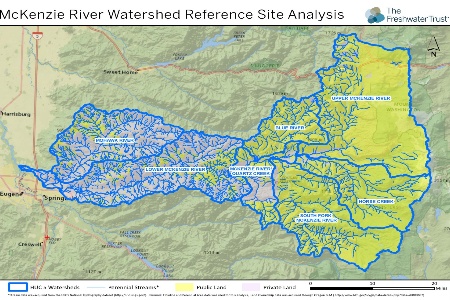 Oregon Utilities Launch River Enhancement Projects In Mckenzie