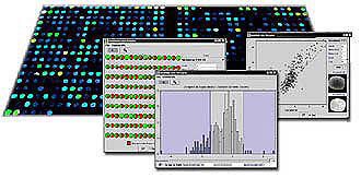 Microarrays