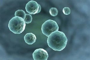 Drug Product Development Services