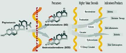 Sterols and steroids