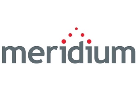 Meridium Next Gen Enterprise APM Intelligent Asset Strategies