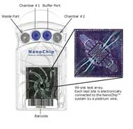 Nanochip