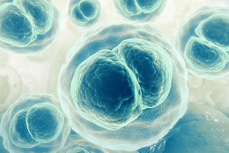 Optimizing Parameters For 10 Day And 20 Day T Cell Expansion In Rocking