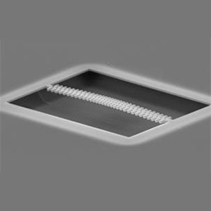 An Optomechanical Crystal To Study Interactions Among Colocalized ...