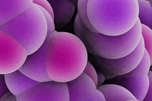 Biologics Contract Development