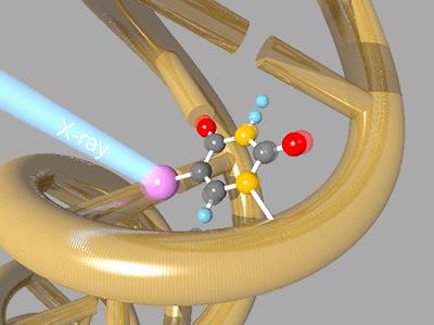 X-Ray Free Electron Laser Reveals Radiosensitizing Effects At Molecular ...