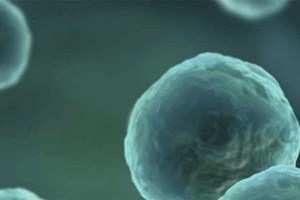 Small Molecule Development And Manufacturing Services