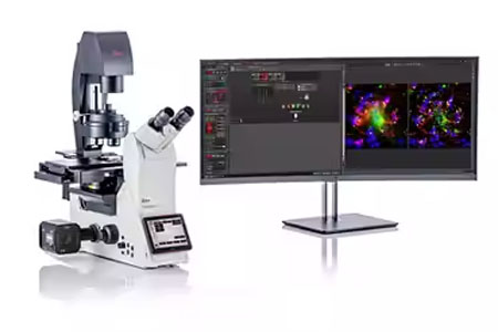 Imager For Live Cell D Cell Culture Assays