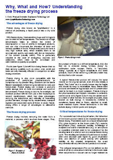 How does freeze drying work picture