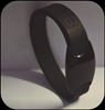 Buddi Bandz Access Control Series