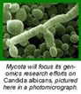 Mycota Sciences, Canadian agency jointly fund fungal genomics research