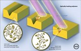 polymers