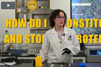 How To Reconstitute Lyophilized Proteins