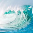 waves_weiss_225x225