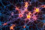 GettyImages-1623194831_Neurons Firing