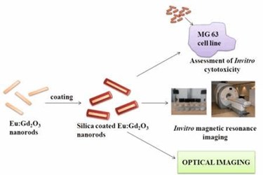 Researchers Developed Nanoparticle Based Contrast Agent For Dual Modal Imaging Of Cancer Researchers Developed Nanoparticle Based Contrast Agent For Dual Modal Imaging Of Cancer