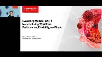 Evaluating Modular CAR T Manufacturing Workflows: Performance, Flexibility, And Scale Bucket