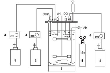 Anaerobic Yeast Fermentation For The Production Of Ethanol In A New Brunswick BioFlo 310 Fermentor Anaerobic Yeast Fermentation For The Production Of Ethanol In A New Brunswick BioFlo 310 Fermentor