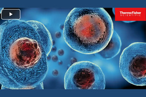 Bioprocessing Solutions For Cell Culture