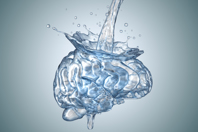 Brain