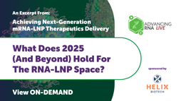 24_11_ARL_1920x1080_Seg08