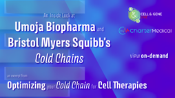 23_10_CGL_ColdChain_Webinar_Seg01 23_10_CGL_ColdChain_Webinar_Seg01