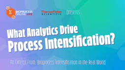 24_06_BPOL_1280x720_Seg06