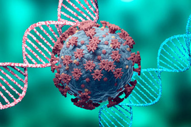 Coronavirus and DNA virus mutation-iStock-1301873080