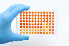 clinical trials in the laboratory-GettyImages-1482189243