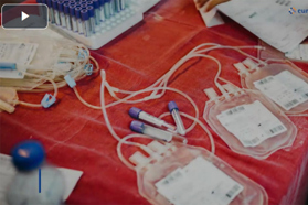 Cryostorage Bag CCI Challenges Solution