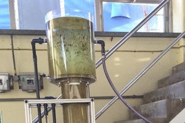 biofiltration_SS biofiltration_SS