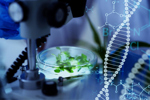 GettyImages-1209831767-DNA-petri-dish-plant-microscope