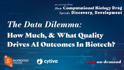 23_12_BPL_AI_Webinar_Seg04