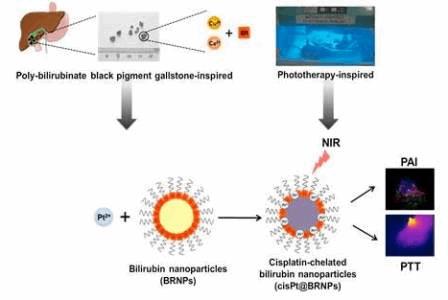 Photoacoustic Imaging And Photothermal Cancer Therapy Using BR ...