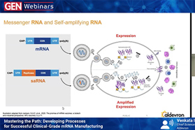 Mastering The Path Devloping Processes For Successful Clinical-Grade mRNA Manufacturing