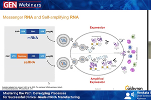 Mastering The Path Devloping Processes For Successful Clinical-Grade mRNA Manufacturing