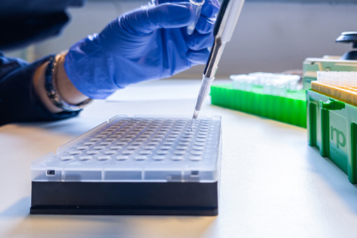 molecular biology, DNA analysis-GettyImages-2270602865