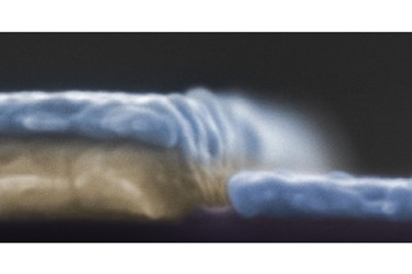 Programmable Switches