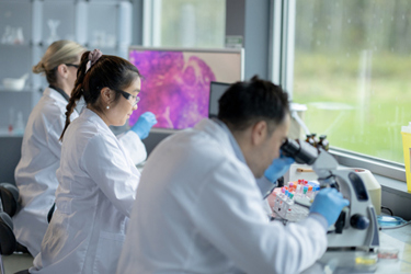 samples under microscopes, analyze data-GettyImages-2191794159 samples under microscopes, analyze data-GettyImages-2191794159