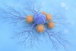 Natural killer cell attacking cancer cell-GettyImages-1389774283