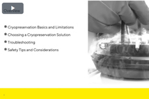 Cellular Cryopreservation For Clinical Applications Cellular Cryopreservation For Clinical Applications