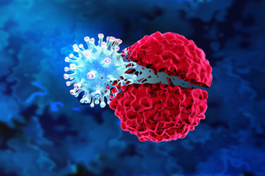 GettyImages-1440747009-oncolytic-virus-immunotherapy-cancer-vaccine-tumor-cell