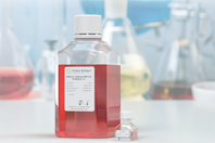 Customizable HEK Cell Culture Medium To Optimize Your HEK Cell Processes Nucleus - HEKima 2