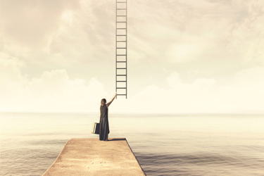 Climbing Ladder Climbing Ladder