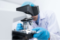 High-Resolution Microscopy: Lenses For Research And Laboratory Use schneider magnification