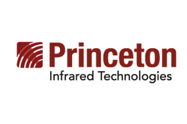 Princeton IT - logo