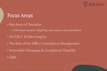 BRANY-staying-audit-ready