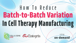 24_02_CGL_Batch_Webinar_1920x1080