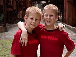 SD-WAN Vs. SDN: Demystifying The Differences